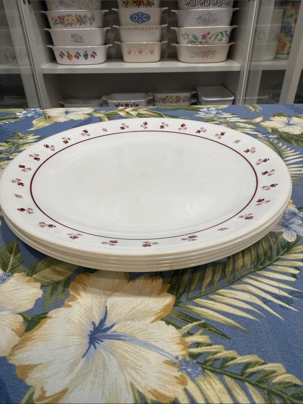 Five Corelle burgundy Rose 10 1/4 inch dinner plates